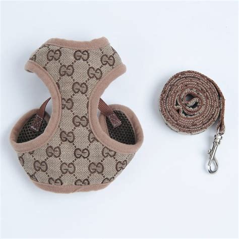 gucci for dogs|gucci dog harness and leash.